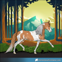 Horse Color:Chestnut Sabino Tobiano