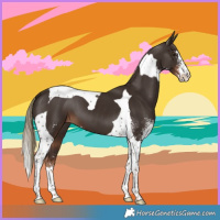 Horse Color:Liver Chestnut Sabino Tobiano 