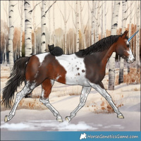 Horse Color:Bay Sabino Tobiano