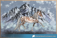 Horse Color:White Spotted Silver Brown Pearl Mushroom Tobiano Appaloosa