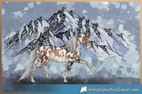 Horse Color:White Spotted Silver Brown Pearl Mushroom Tobiano Appaloosa