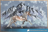 Horse Color:White Spotted Silver Brown Pearl Mushroom Tobiano Appaloosa 