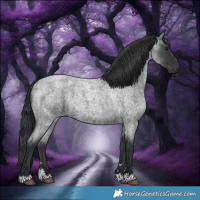 Horse Color:Blue Roan 