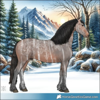 Horse Color:Bay Ice 
