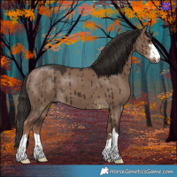 Horse Color:Liver Red Dun Brindle 
