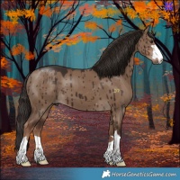 Horse Color:Liver Red Dun Brindle