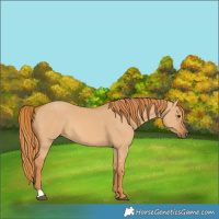 Horse Color:Red Dun 