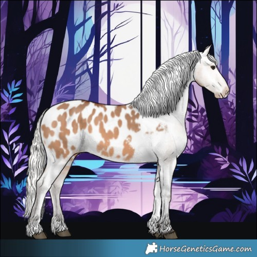 Horse Color:Silver Brown Dun Appaloosa 