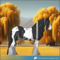 Horse Color:Black Sabino Tobiano