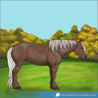 Horse Color:Silver Black 