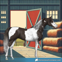 Horse Color:Liver Chestnut Sabino Tobiano 