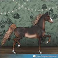 Horse Color:Liver Chestnut 