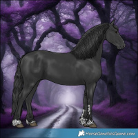 Horse Color:Black 