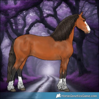 Horse Color:Bay 
