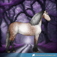 Horse Color:Gray Bay 