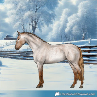 Horse Color:Gray Red Roan 