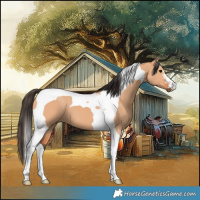 Horse Color:Bay Dun Tobiano 