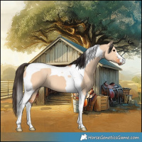 Horse Color:Bay Dun Tobiano 