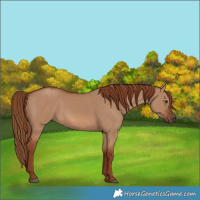 Horse Color:Red Dun 