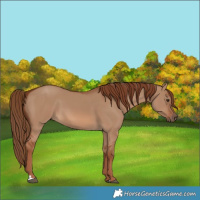 Horse Color:Red Dun 