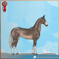 Horse Color:Silver Black 