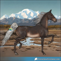 Horse Color:Silver Brown 