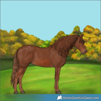 Horse Color:Chestnut 