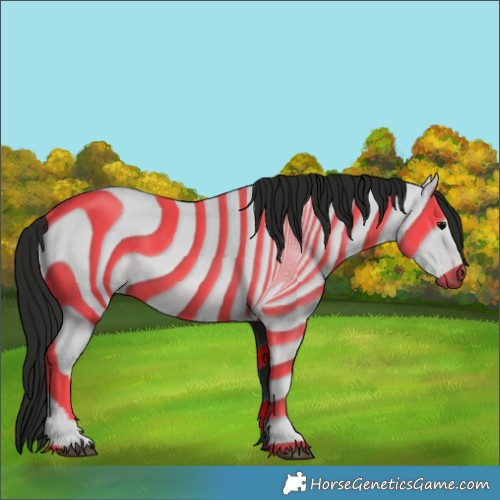 Horse Color:Gray Black 