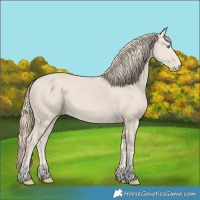 Horse Color:Smoky Creme 