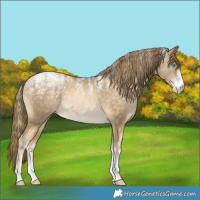 Horse Color:Powder White Buckskin Pearl 