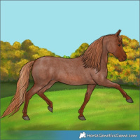 Horse Color:Red Roan