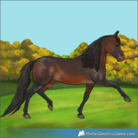 Horse Color:Brown 