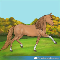 Horse Color:Chestnut Tobiano 