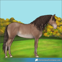 Horse Color:Classic Champagne