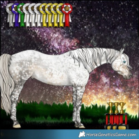 Horse Color:Gray Silver Smoky Black Splash Tobiano Snowflake Varnish