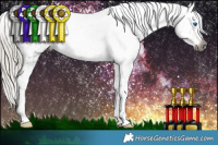 Horse Color:Gray Silver Smoky Black Splash Tobiano Appaloosa