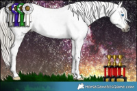 Horse Color:Gray Silver Smoky Black Splash Tobiano Appaloosa