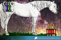 Horse Color:Gray Silver Smoky Black Splash Tobiano Appaloosa 