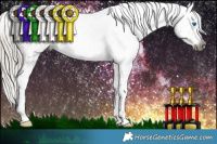 Horse Color:Gray Silver Smoky Black Splash Tobiano Appaloosa 