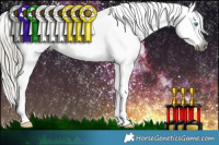 Horse Color:Gray Silver Smoky Black Splash Tobiano Appaloosa 