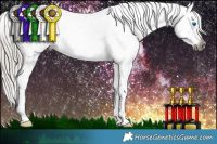 Horse Color:Gray Silver Smoky Black Splash Tobiano Appaloosa