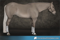 Horse Color:Silver Grullo 