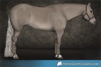Horse Color:Silver Grullo 