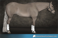 Horse Color:Silver Grullo 