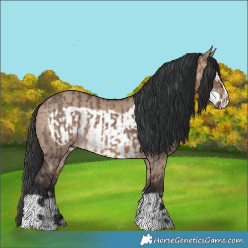 Horse Color:Brown Dun  and Brown Dun Frame 