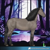 Horse Color:Grullo 