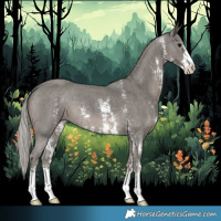 Horse Color:Silver Black Sabino 