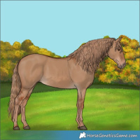 Horse Color:Red Dun 
