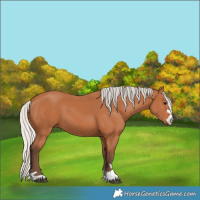Horse Color:Silver Bay