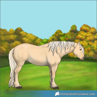 Horse Color:Palomino Dun 
